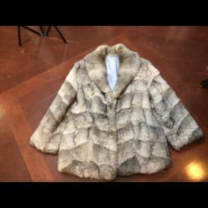 Rex rabbit chinchilla coat